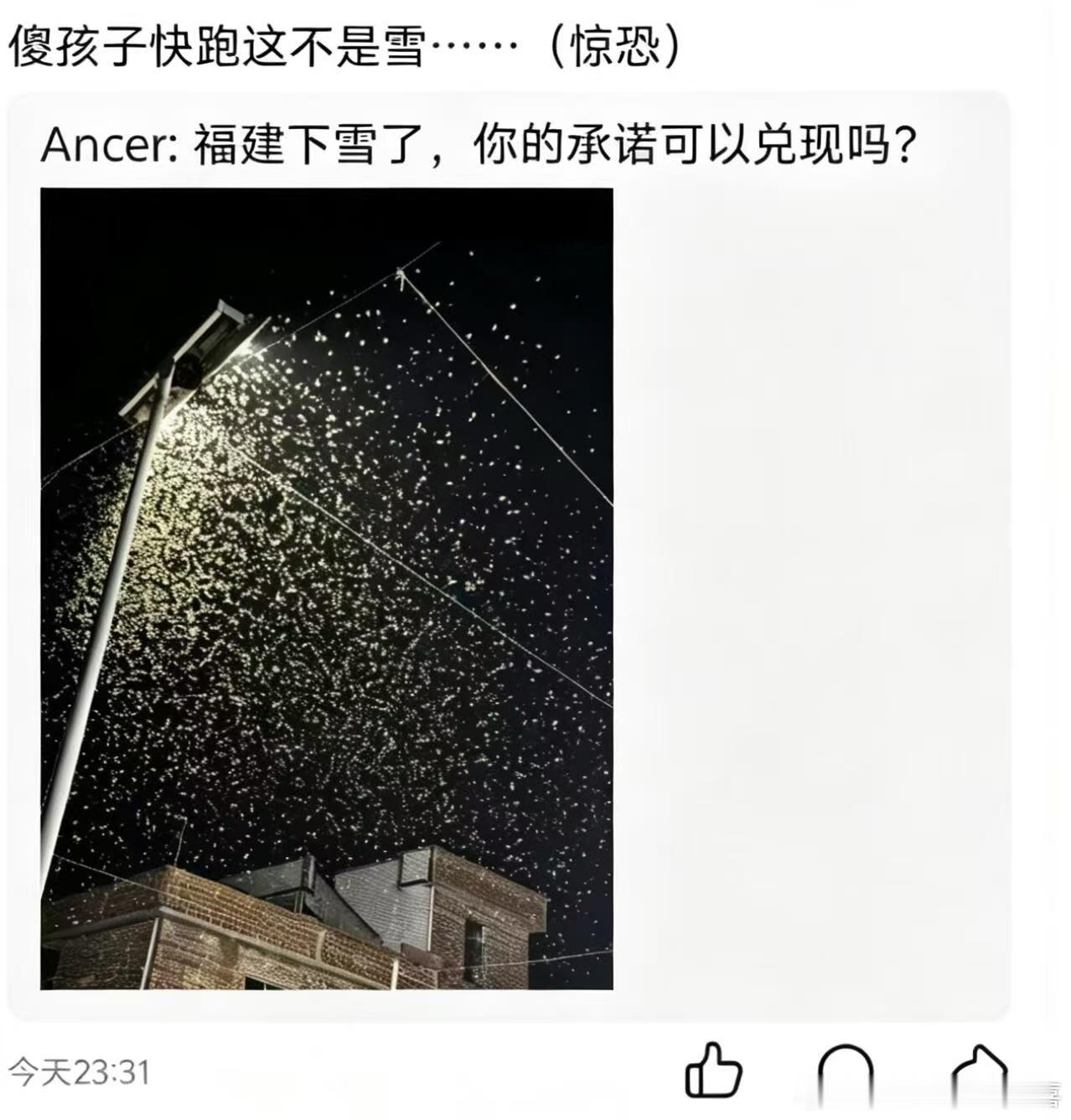 这么热福建哪来的雪……不怼😨 