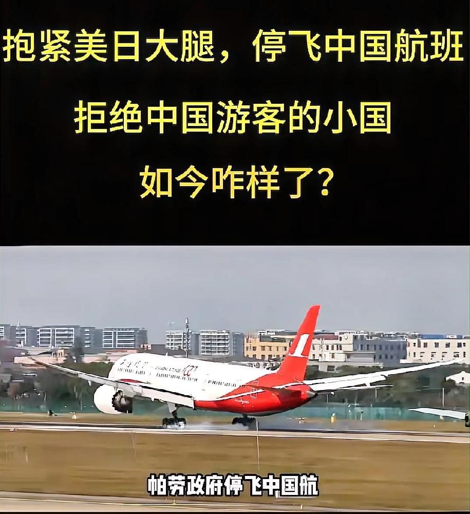 抱紧美日大腿，停飞中国航班、拒绝中国游客的小国，如今怎样了?
停飞中国航班，连美