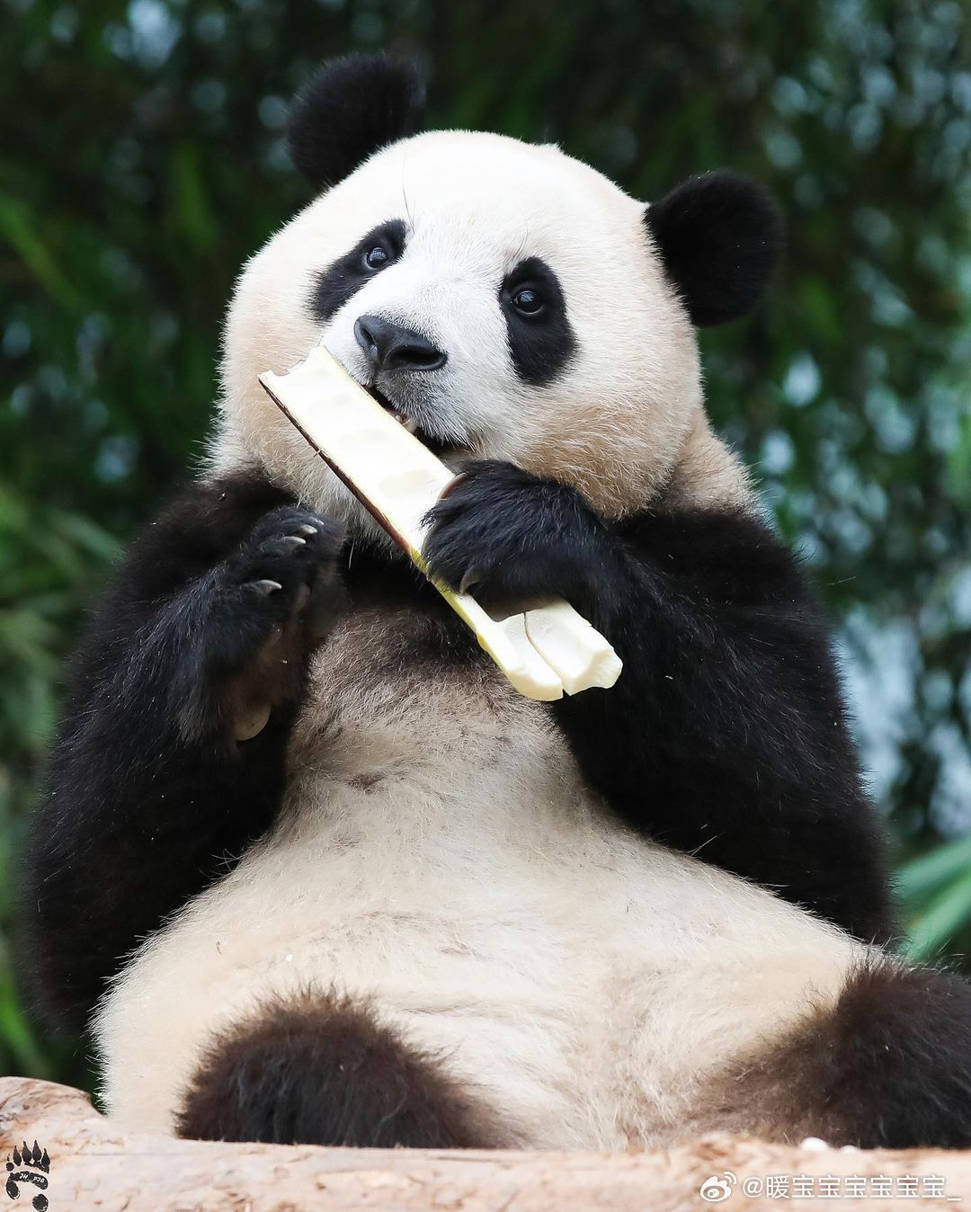 每天早起打卡早上好～ 
