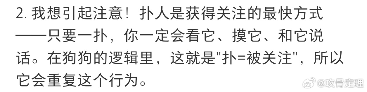 当你养到一只高需求狗狗
