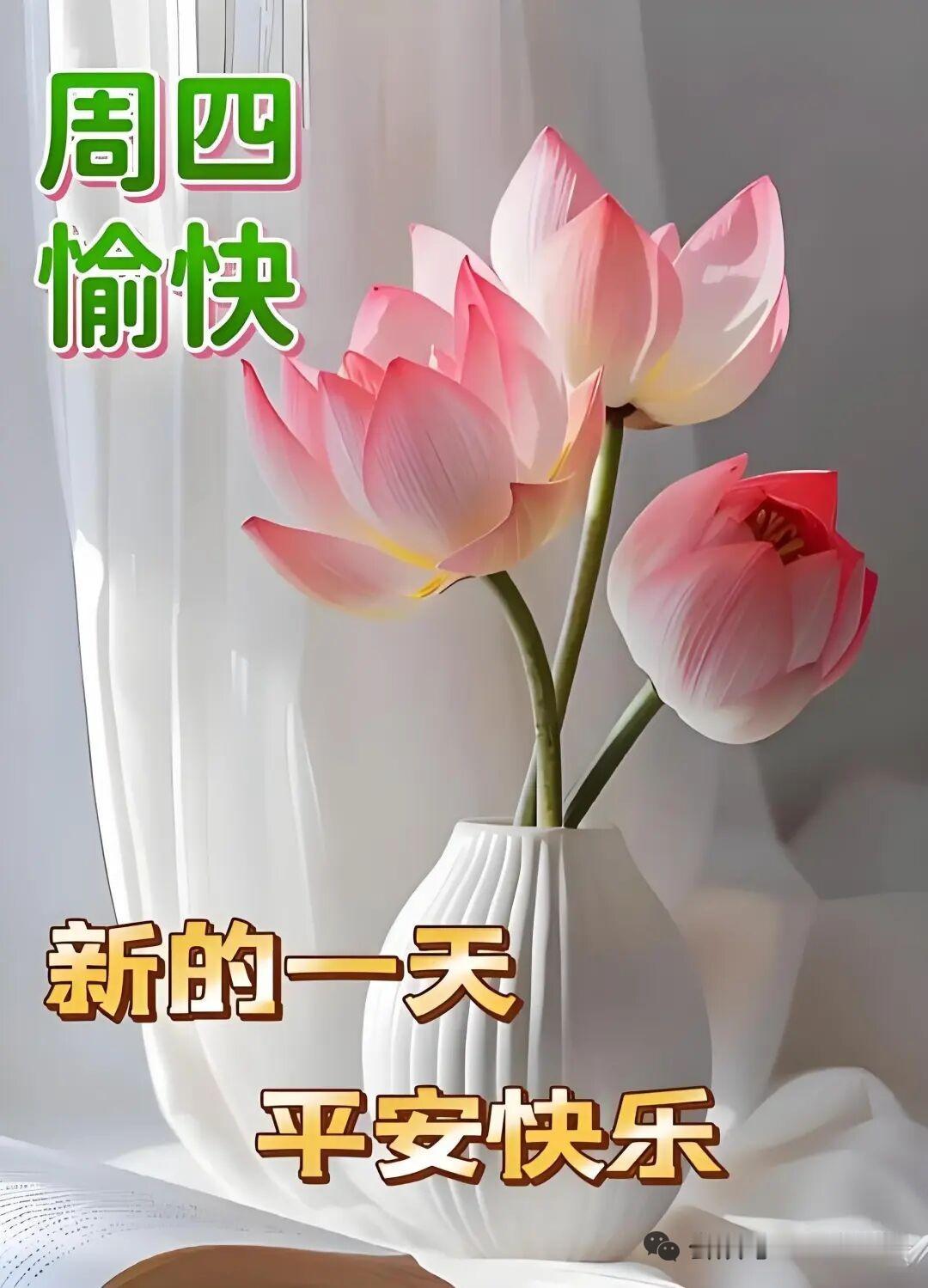 人生在世，你悟到什么道理人生在世，不求大富大贵，只求全家平安健康，比什么都好！