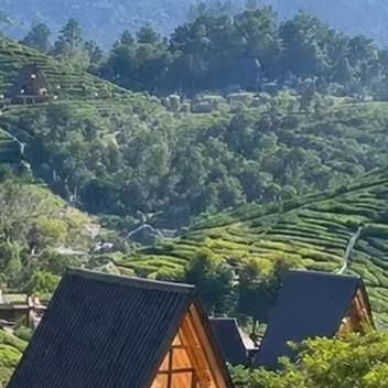 ‎每日一善 /阳光‬‬信用 心怀善意，微光亦可暖人间愿保持温柔，守住本心力所能及