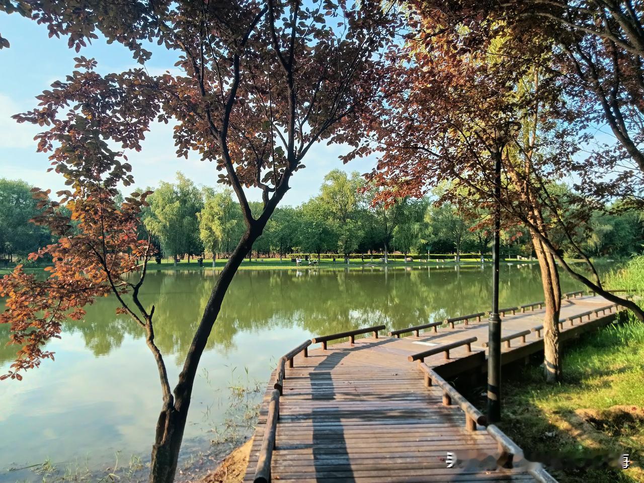 西安湖和紫薇湖是相邻紧贴在一起的，都属于渭河水系景观带，中间只隔了个河堤路！坐个