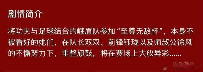 功夫女足剧情简介 功夫女足剧情 哎哟不错哦娱乐