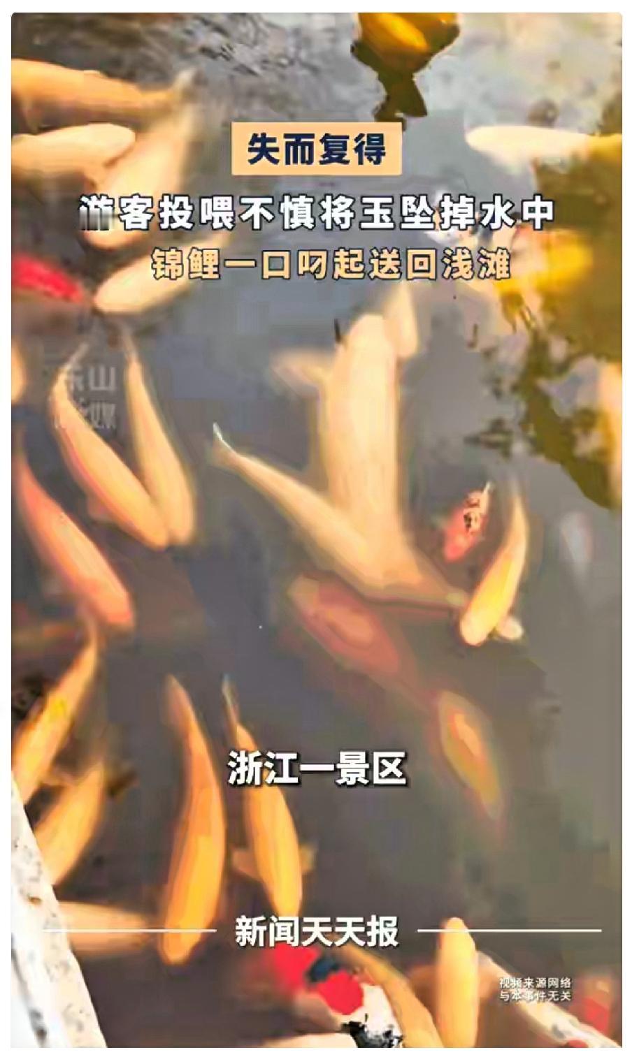 “万万没想到！”游客喂鱼时，贴身玉坠失手掉进深水湖里，本以为彻底找不回来了，谁料