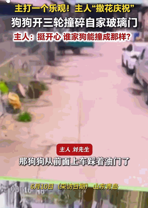 这狗真成精了！山东青岛，一男子因马上要发车，三轮车的钥匙没拔。他家狗狗看见了，兴