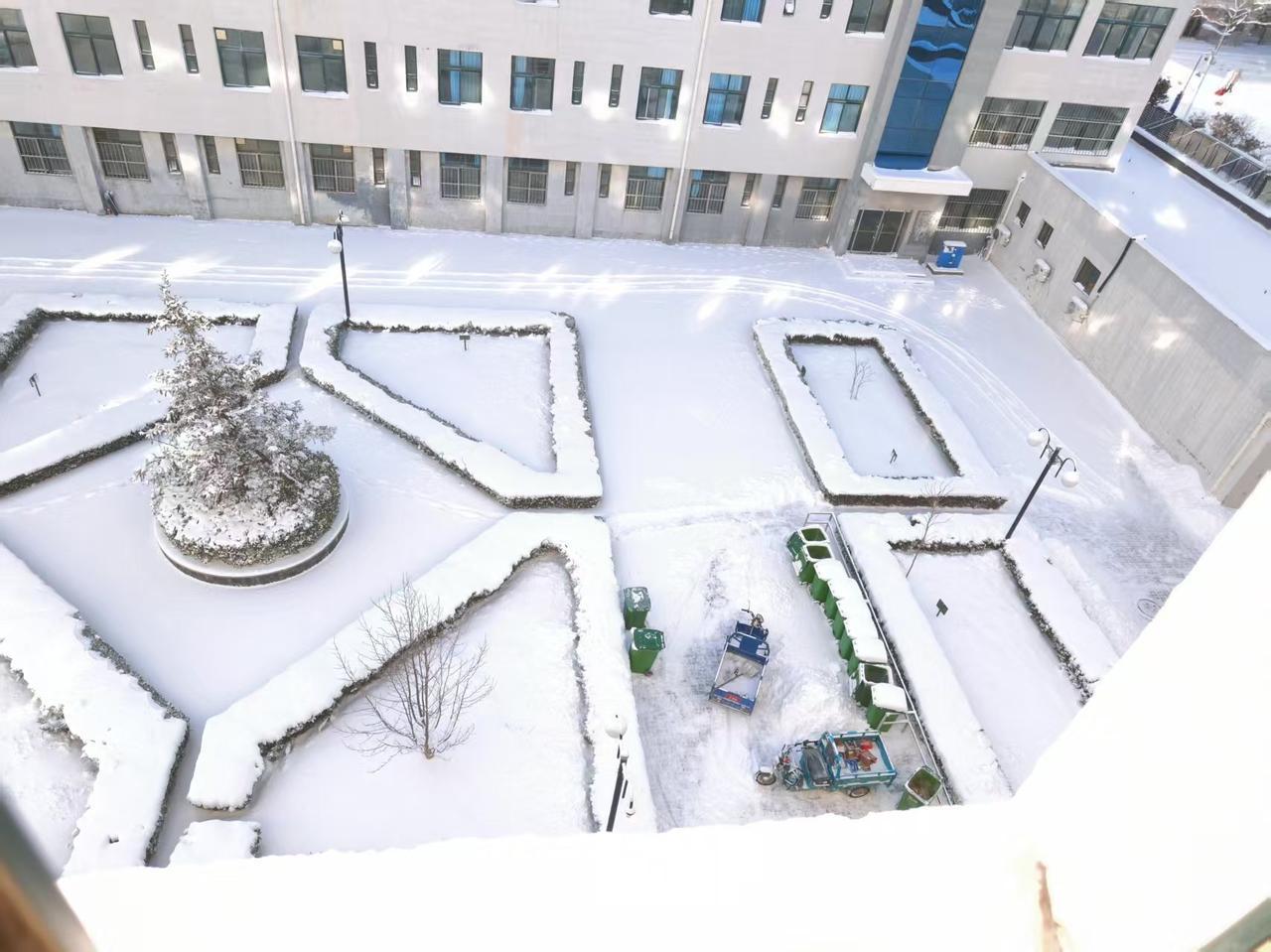 瑞雪兆丰年！2026年的第一场雪，比以往都来的早些。
这是鲁西北的第一场大雪，老