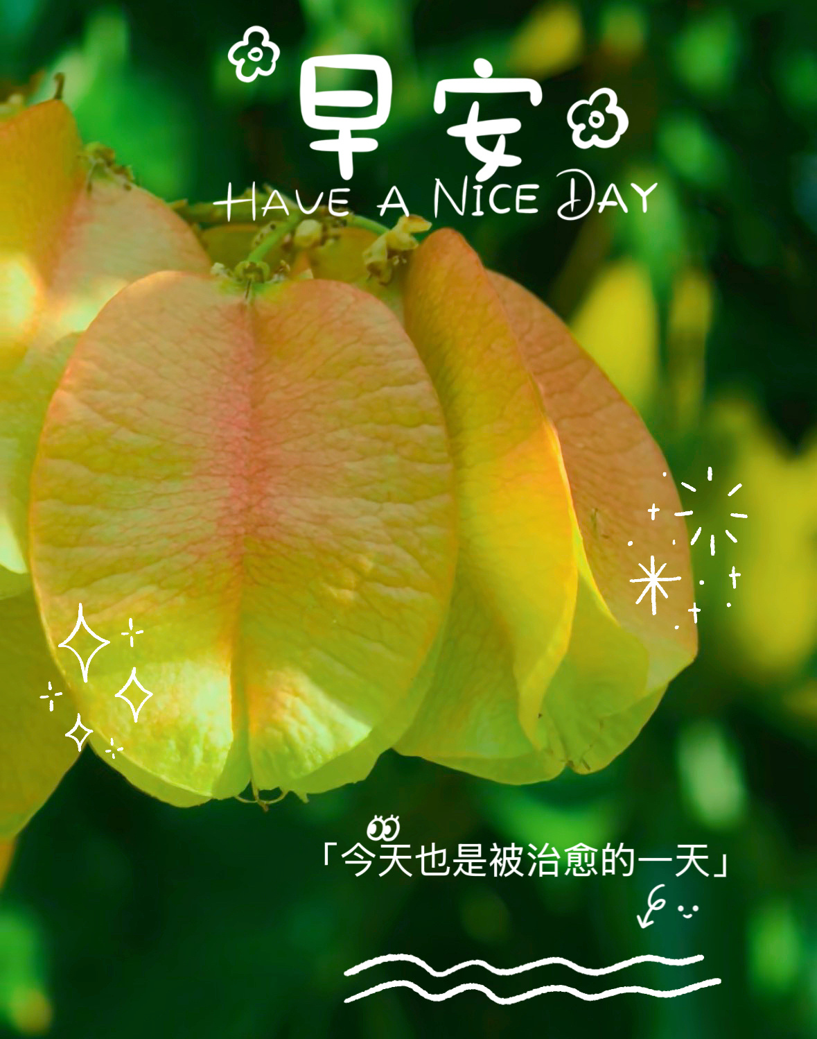 所有的美好都值得等待，全力以赴，然后静待花开！愿我们每一天，都是"𝒏𝒊𝒄?