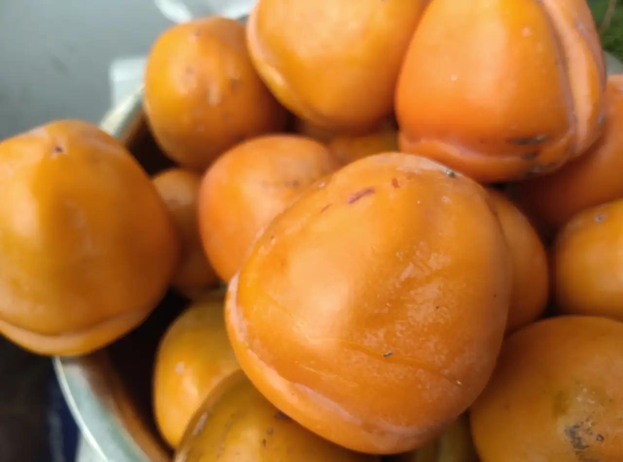 吃柿子十大禁忌：
1.忌空腹食用
原因：空腹时胃酸浓度高，鞣酸与胃
酸、蛋白质结