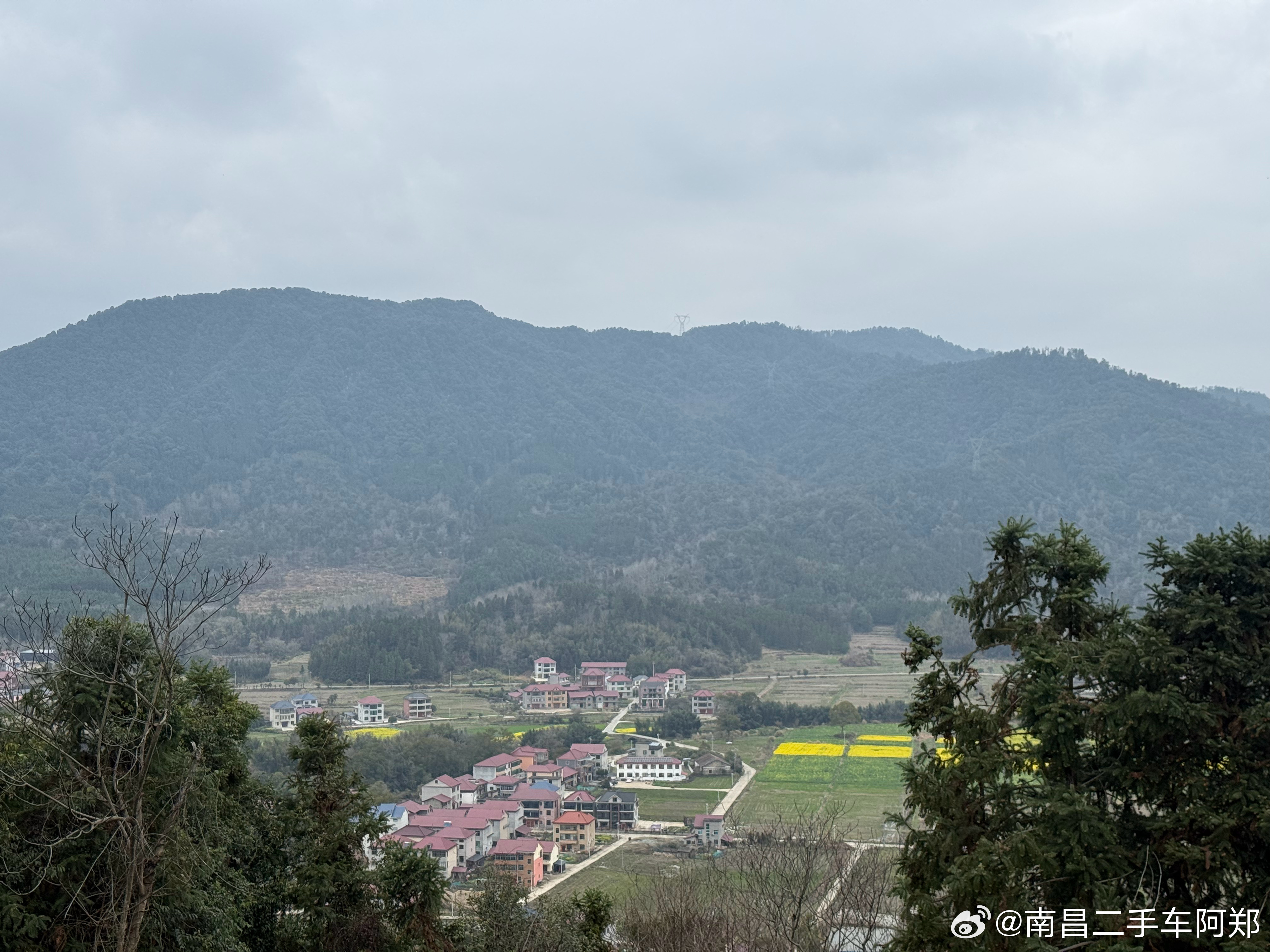 今天是吸收天地灵气的一天，下午爬山，看油菜花……