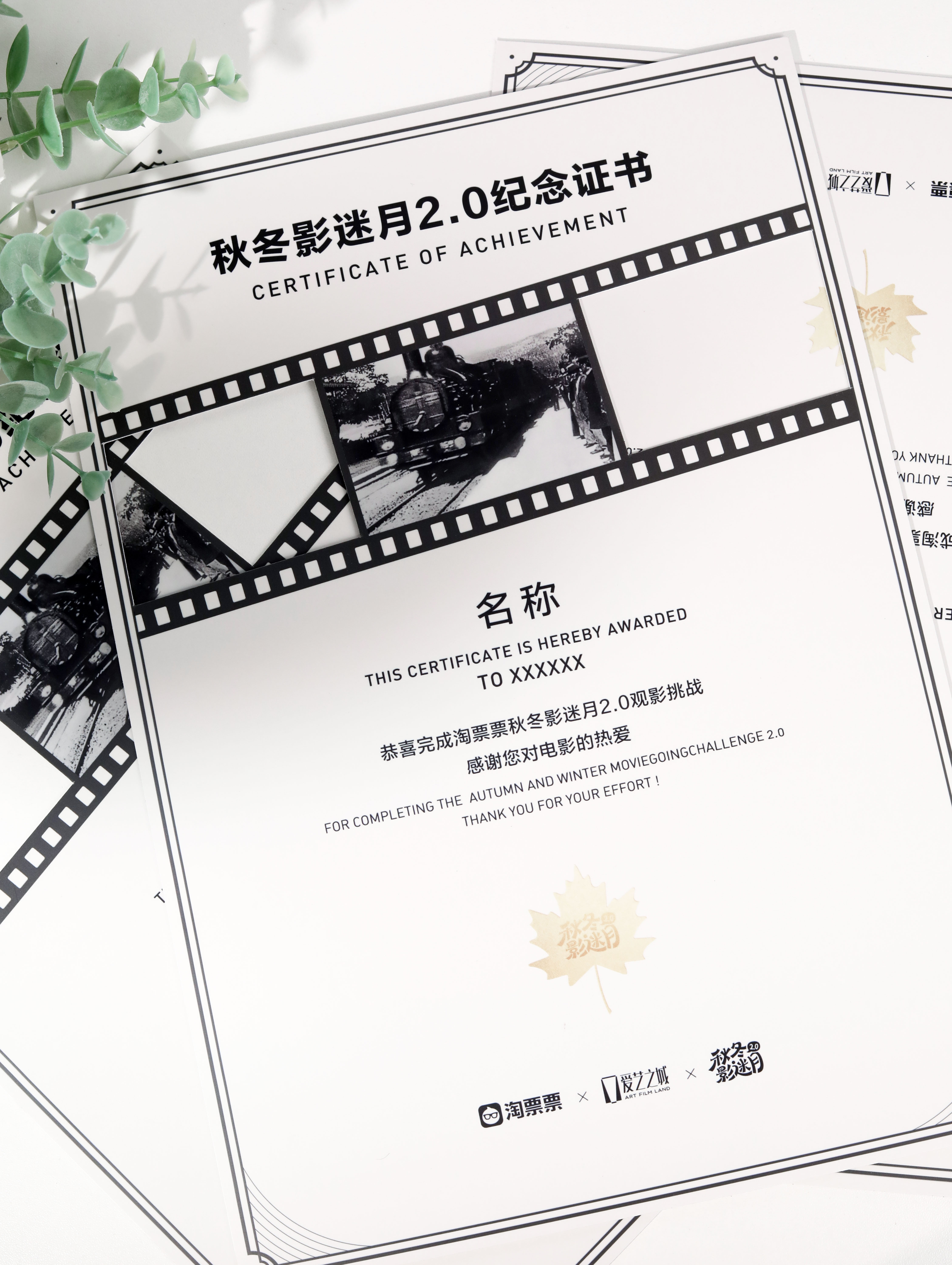秋冬影迷月 2024年即将收官，还记得春日影迷月的观影证书吗？秋冬影迷月2.0版