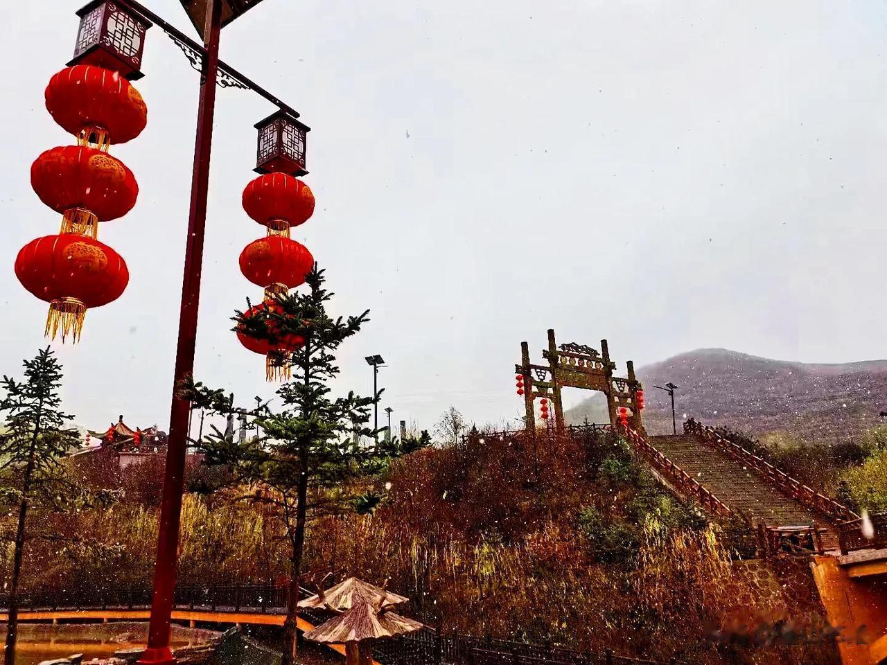 一场小雪，秋色更加迷人了

#赏秋冬美景# #深秋之景最迷人# #镜头下的秋色美