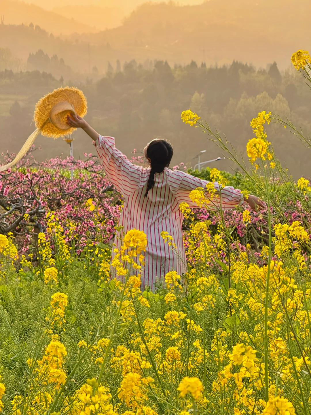 龙泉山的桃花和落日🌇！已经next level了……