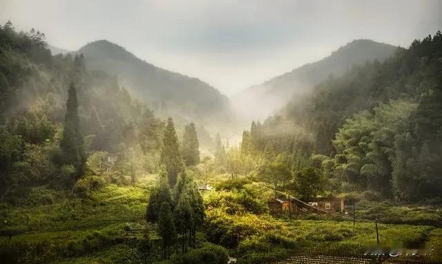 《通鸟语的书生》

在一个偏僻的山村里，有一位名叫李逸的书生。他自幼聪慧过人，勤