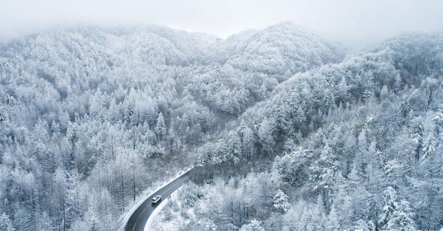 雪景摄影最容易出现的误区，是以为“雪很白，所以直接拍就行”。
实际上，越是看起来