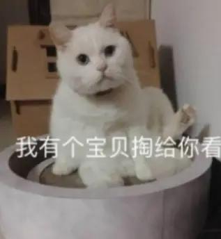 卧看青山又一春