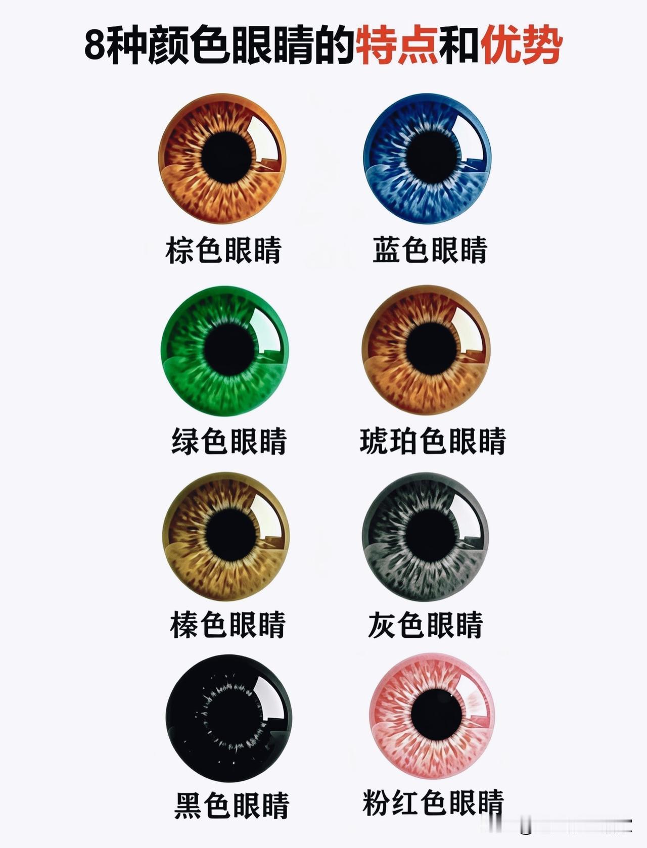 冷知识｜不同虹膜颜色藏着哪些秘密？你的瞳色稀有吗？！
 
说起眼睛颜色，很多人脑