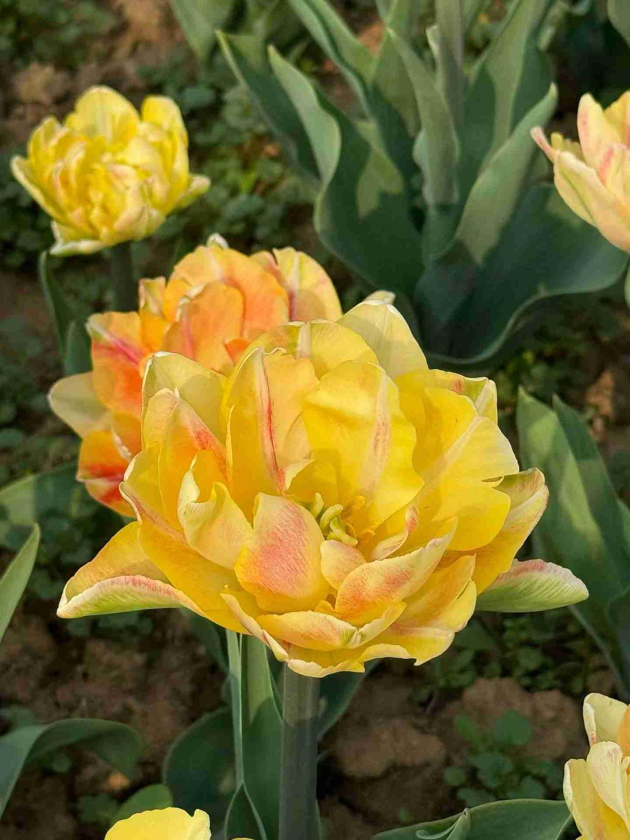 我的今日状态：😁轻松愉快
我这里的天气：☀️晴天