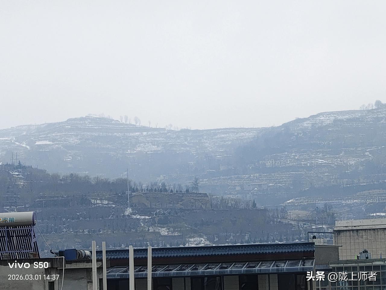 冬雪压春枝，一半冬雪，一半春归。春风佛山岗，绿了枝头，乱了四季。
