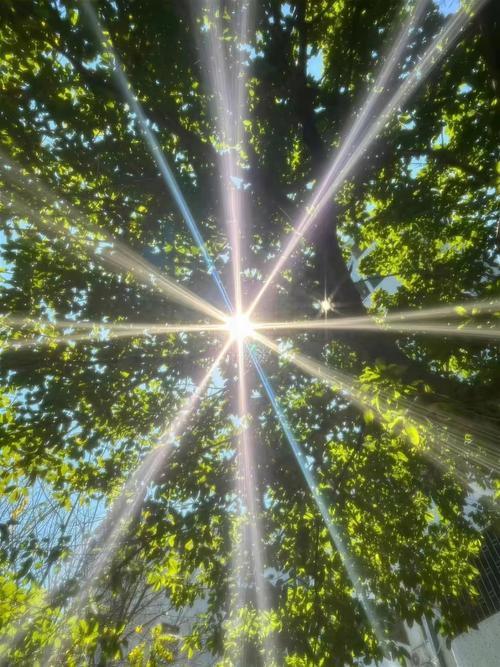 清晨起来，最美好的事有很多。对我来说，享受一顿美味早餐就超棒。走进厨房，煎个金黄
