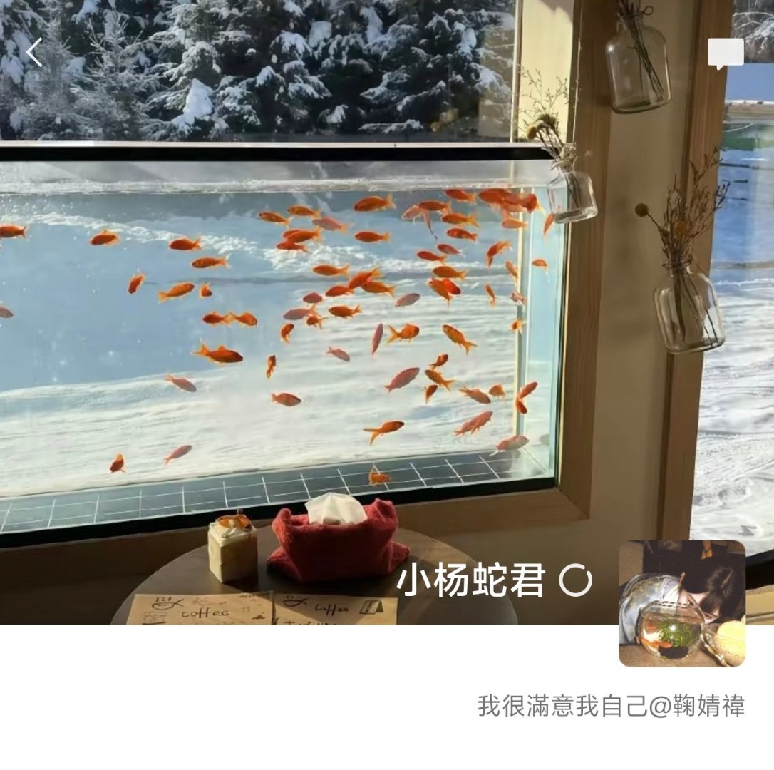 鞠婧祎wx头像背景图搭配无水印无滤镜鞠婧祎阿黛