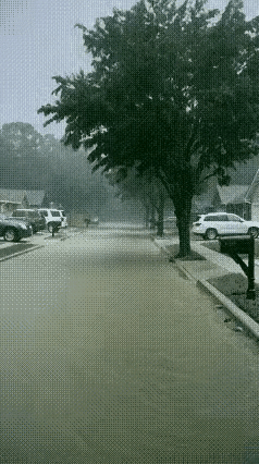 不知道它是否是ai视频。
大树枝在狂风暴雨中被风刮断，
进而大树遭雷劈粉身碎骨。