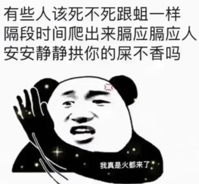 不知谁是无赖痞子，象你这样无德的痞子没见你发过一篇象样的文章，每天除了发些侮辱谩