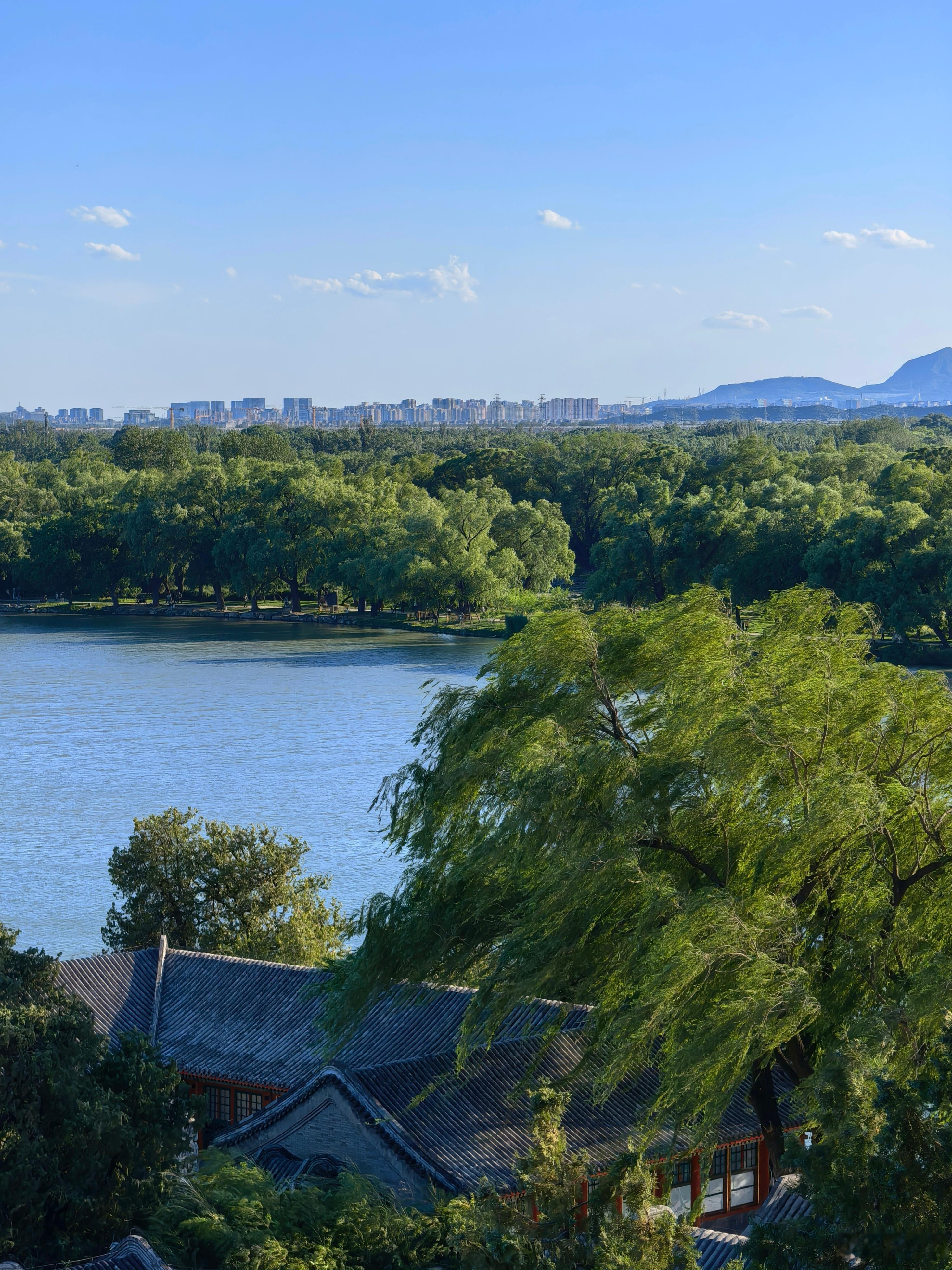 夏日颐和园       佛塔在绿林中升长脖子向白云眨眼，喜鹊在檐角间嬉闹，小朋友