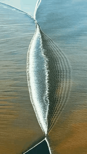 大自然的佳作！太维美了！