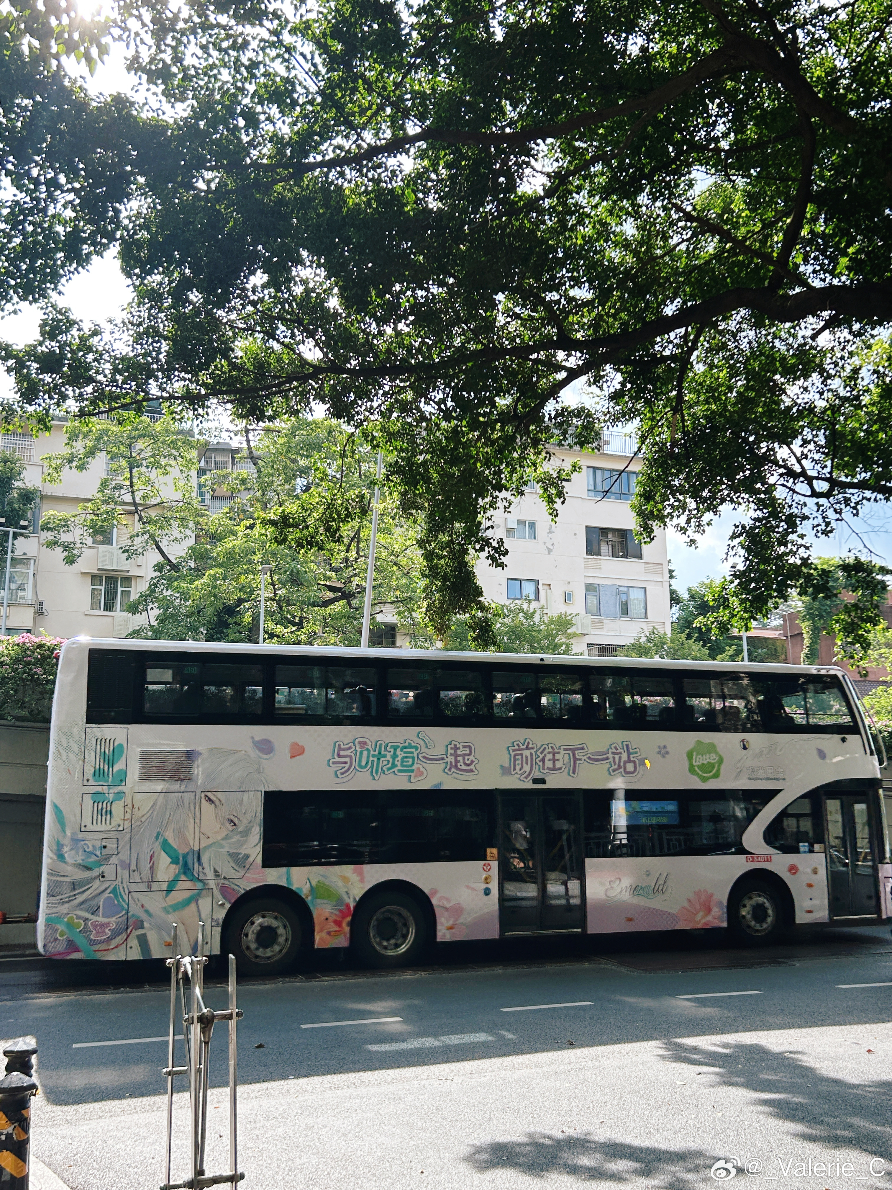 哇，一出门就看到