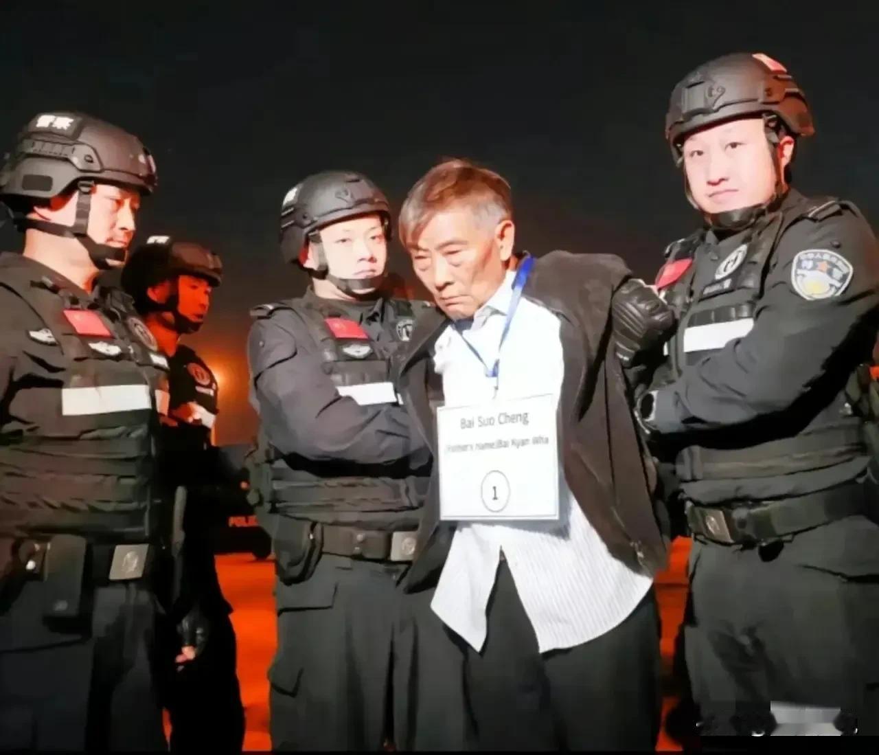 这是白所成，被捕时满脸横肉，愁眉苦脸，眼露凶光，一看那就很不服气的样子，很是欠揍