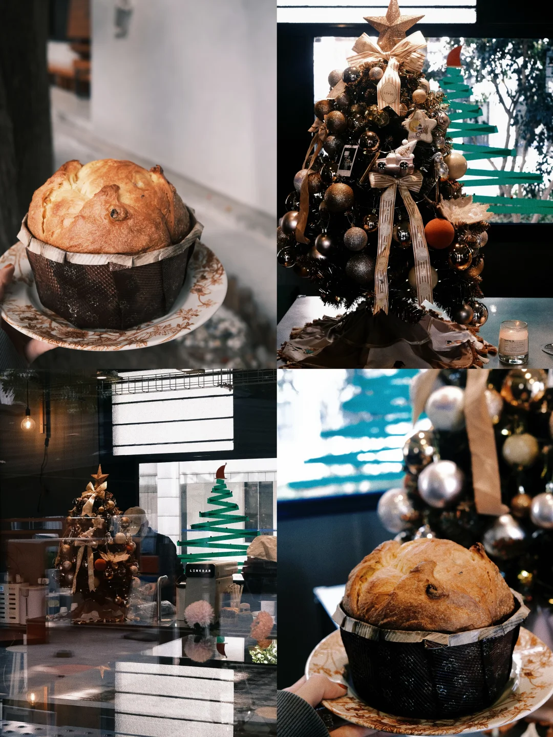 苏州首家！！🎄终于有好吃的潘娜托尼了🪵