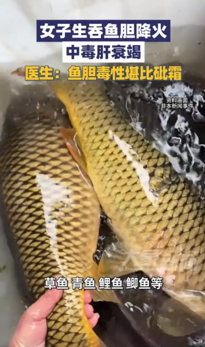 江苏南京，一女子准备做鱼吃，在处理鱼挖出鱼胆的时候，突然想到良药苦口，刚好最近有