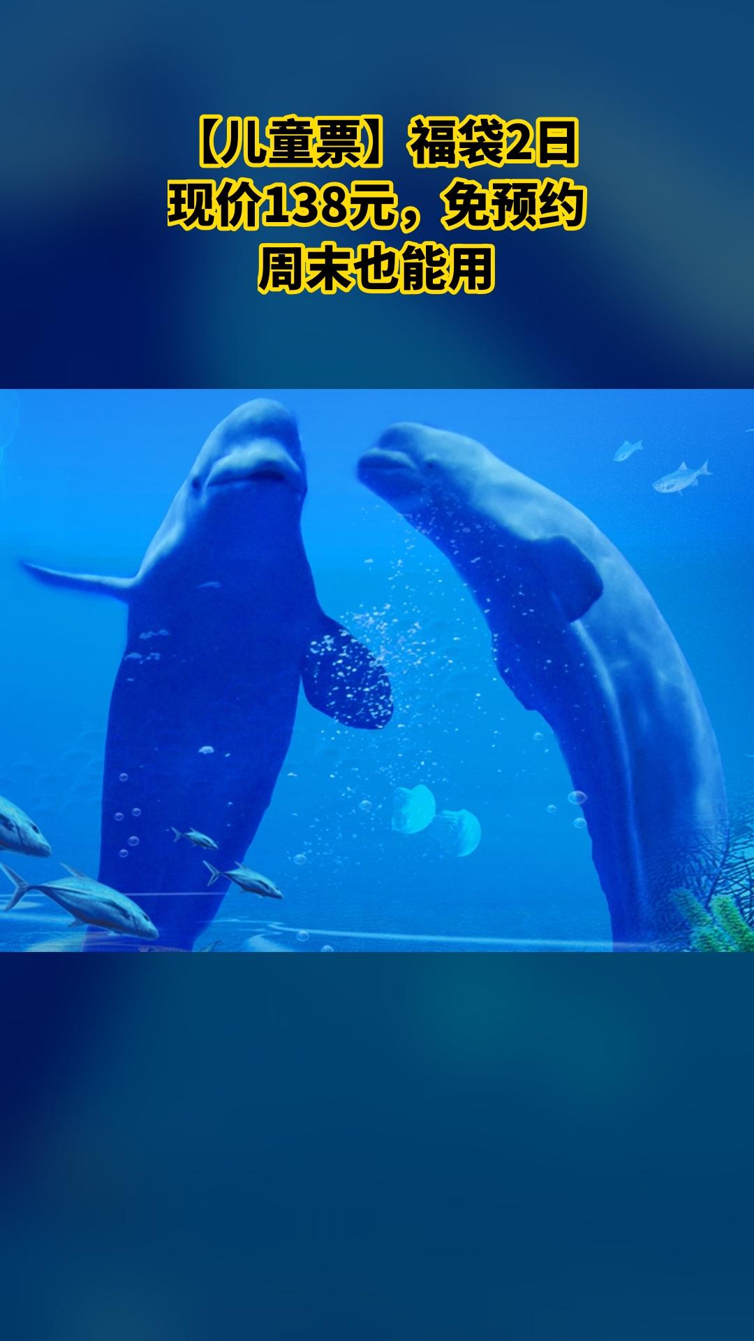 冰雪海洋世界，当季福利，新鲜登场，【儿童票】福袋2日，景区官方、随时退、过期退