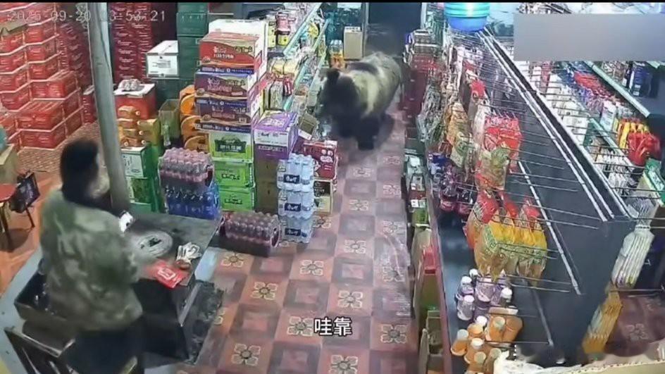 西藏某便利店，老板正在刷手机，听到脚步声，以为来了生意。到那脚步声走进，老板抬头