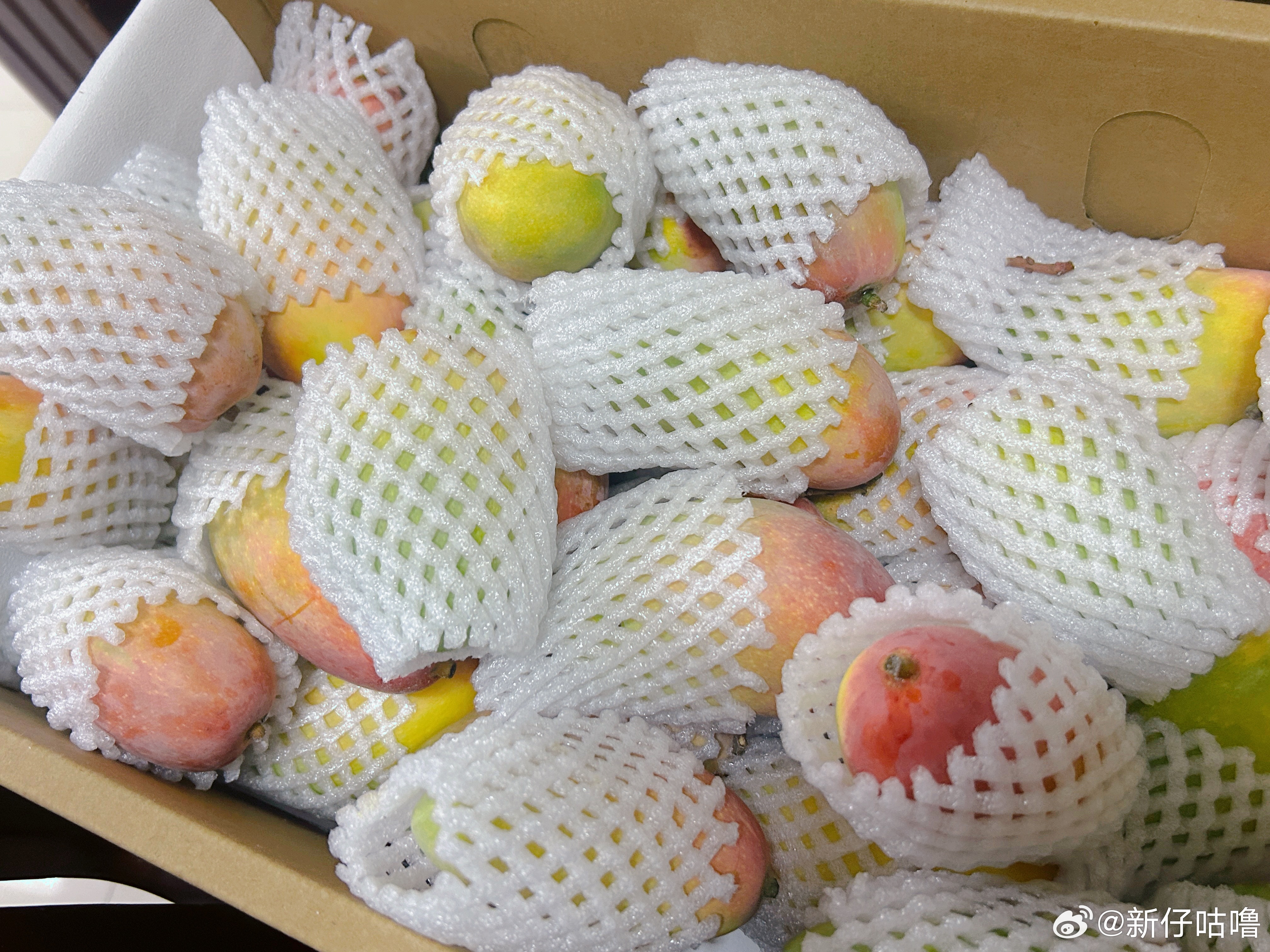 又收到了攀枝花的芒果🥭 谢谢惦记