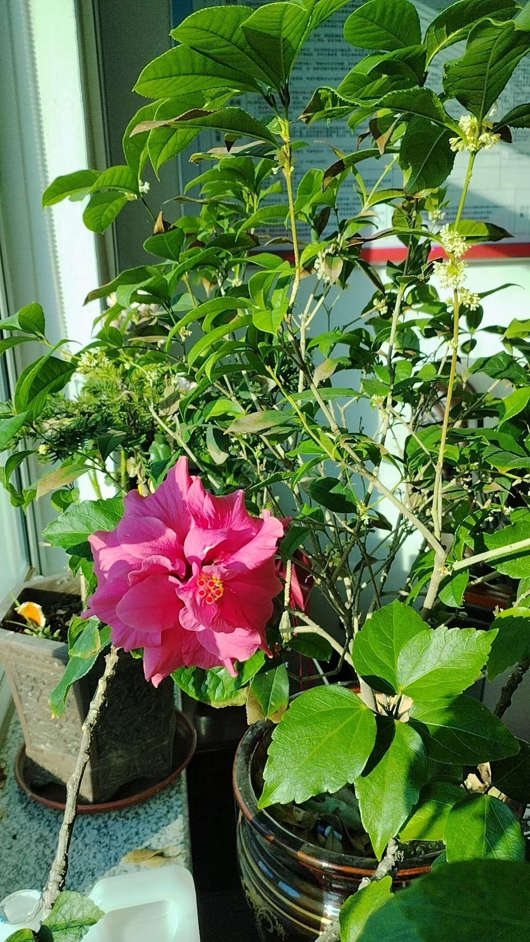 老了什么是你的底气老了儿女孝敬身体健康是最大的底气。