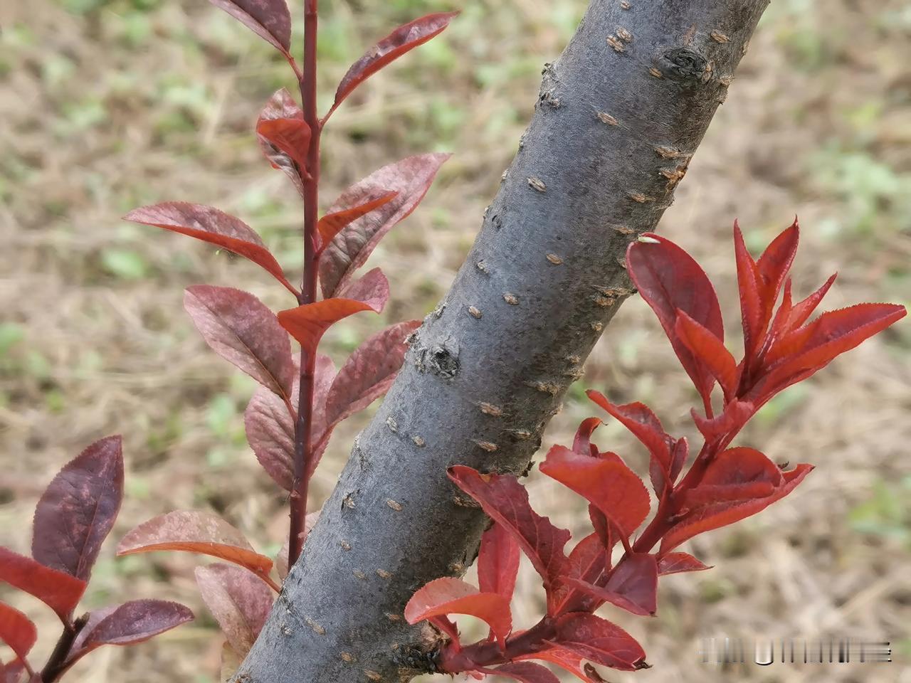 听了大魔头闭门会议，归纳出以下几点、1、对刺激计划不要有太高期望免得失望；2、重