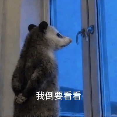 今天依然没有上股市当