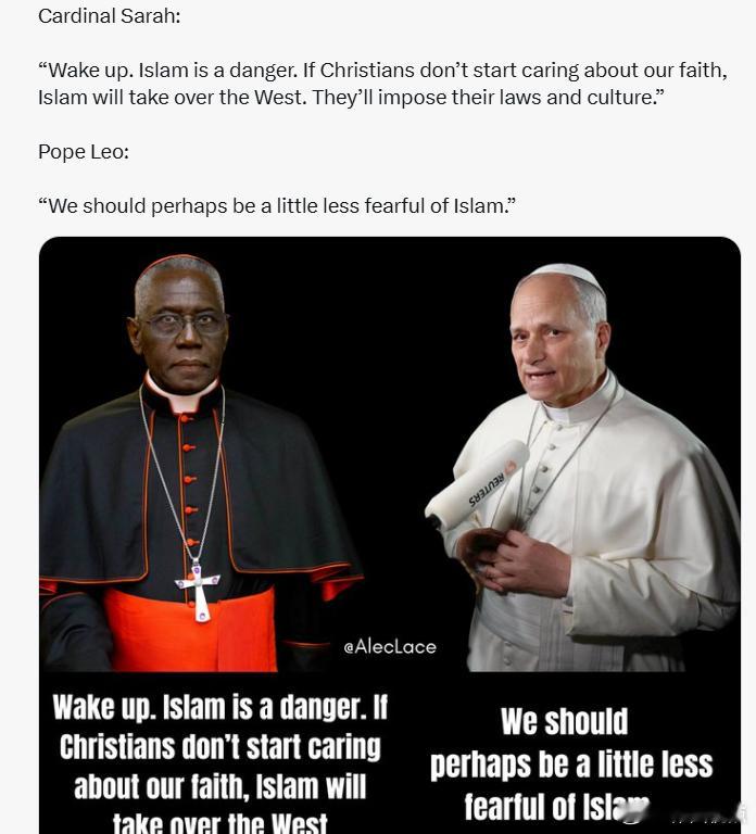 红衣主敎罗伯特·萨拉：“醒醒吧！伊斯兰是一种威胁。如果基督徙不开始重视自己的信仰