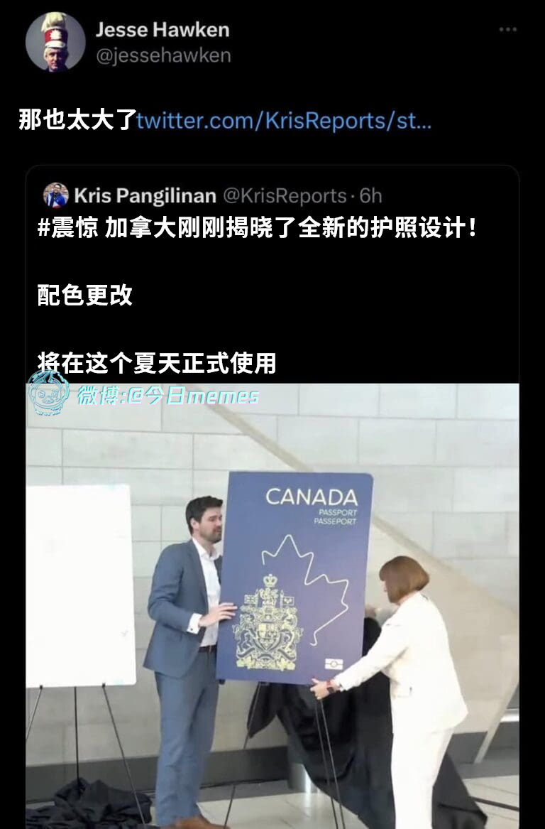 我是风筝（jessehawken）今日meme 今日memes