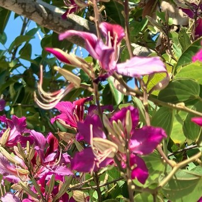 阳光信用🍑阳光信用🍑每日一善世上有两样东西不可直视，一是太阳，二是人心。别去