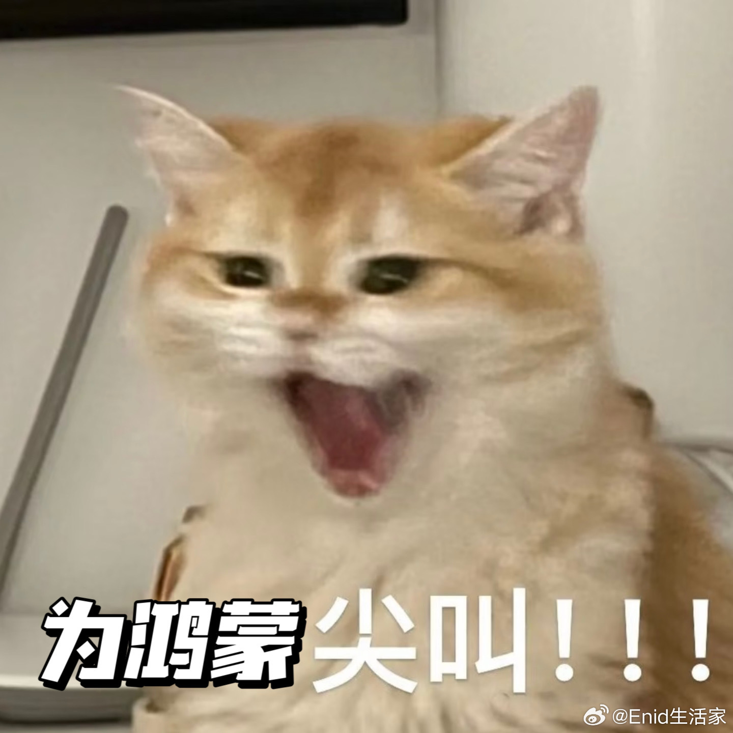 淘宝天猫9月百分百适配鸿蒙 不得不说这个适配速度真的很合乎心意，继续保持这个步调