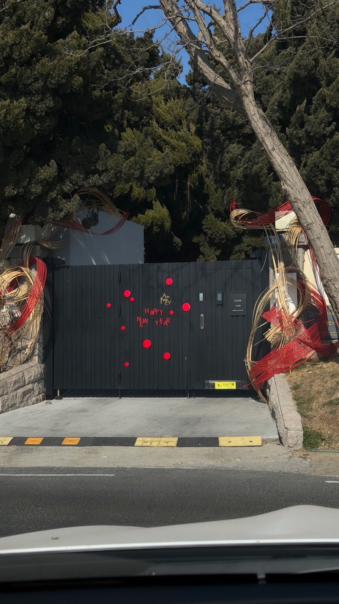 祝大家新年工作顺利 学业有成 马上发财🪭🥰♥️😁 