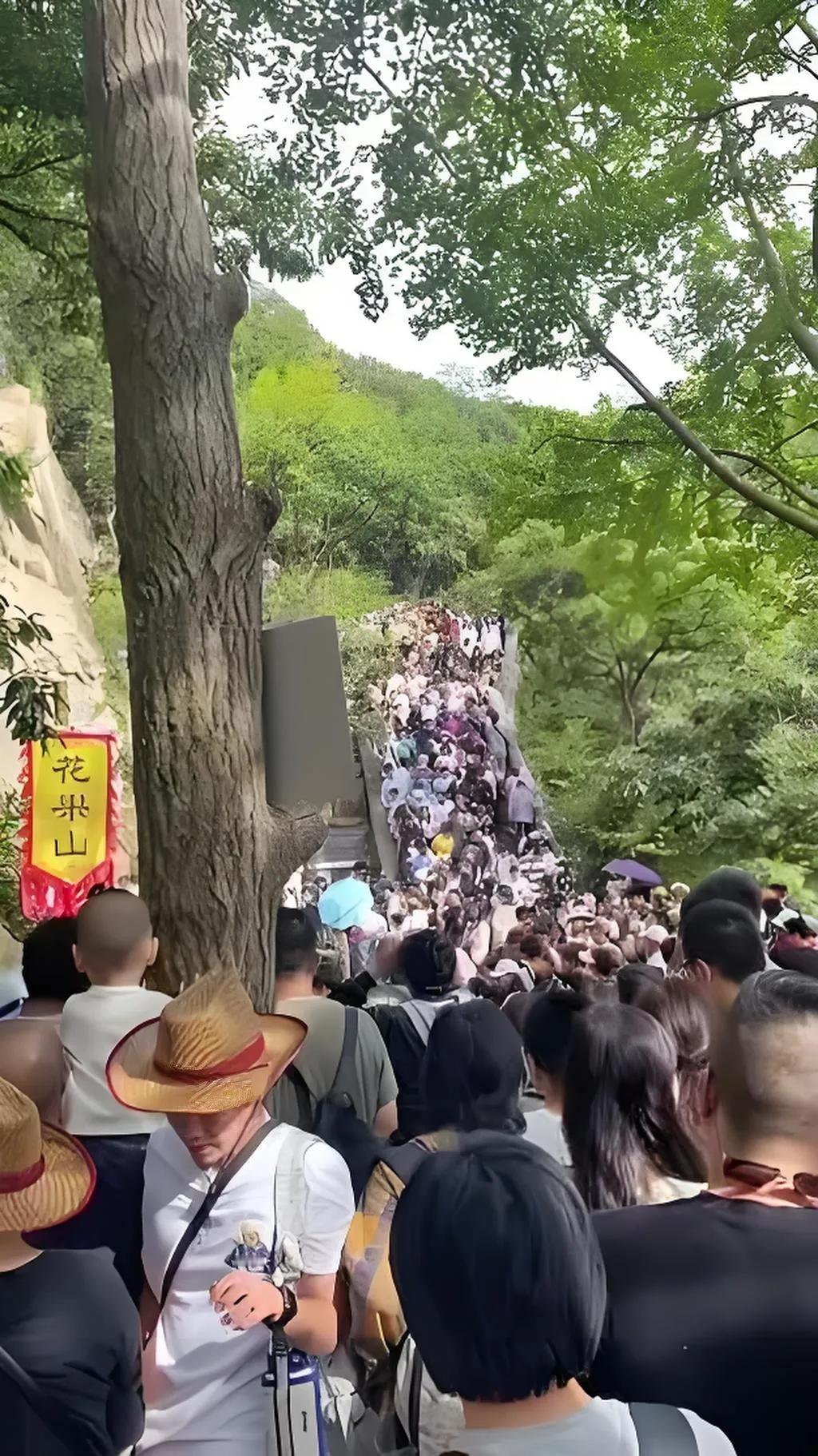 今天是5月3号，躺在家里两天了，哪也没去。老伴问我中午吃啥，我说想吃浆水面。
连