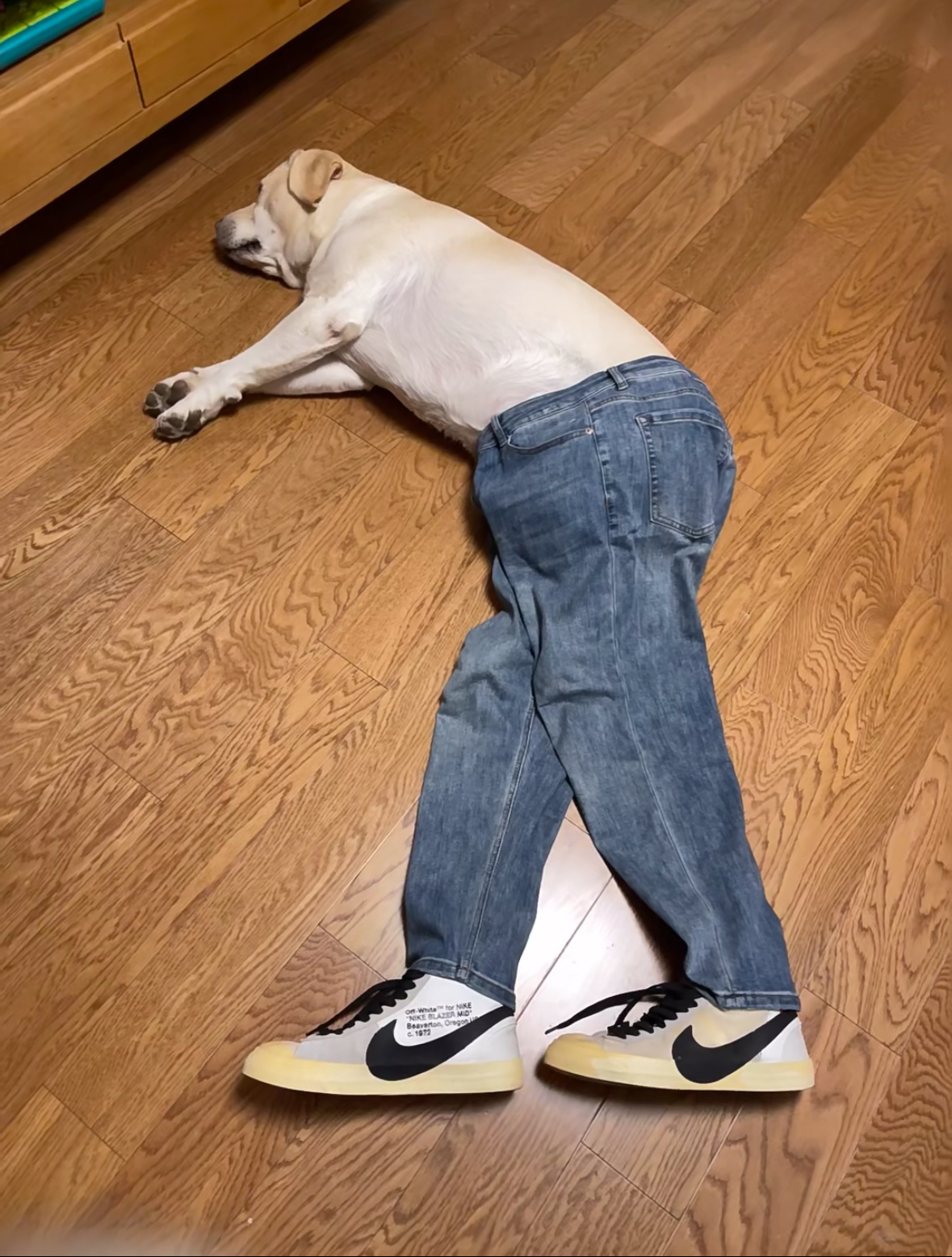 高街拉不拉猪我的精神状态凉好我的幽默灵感片场 ​​​