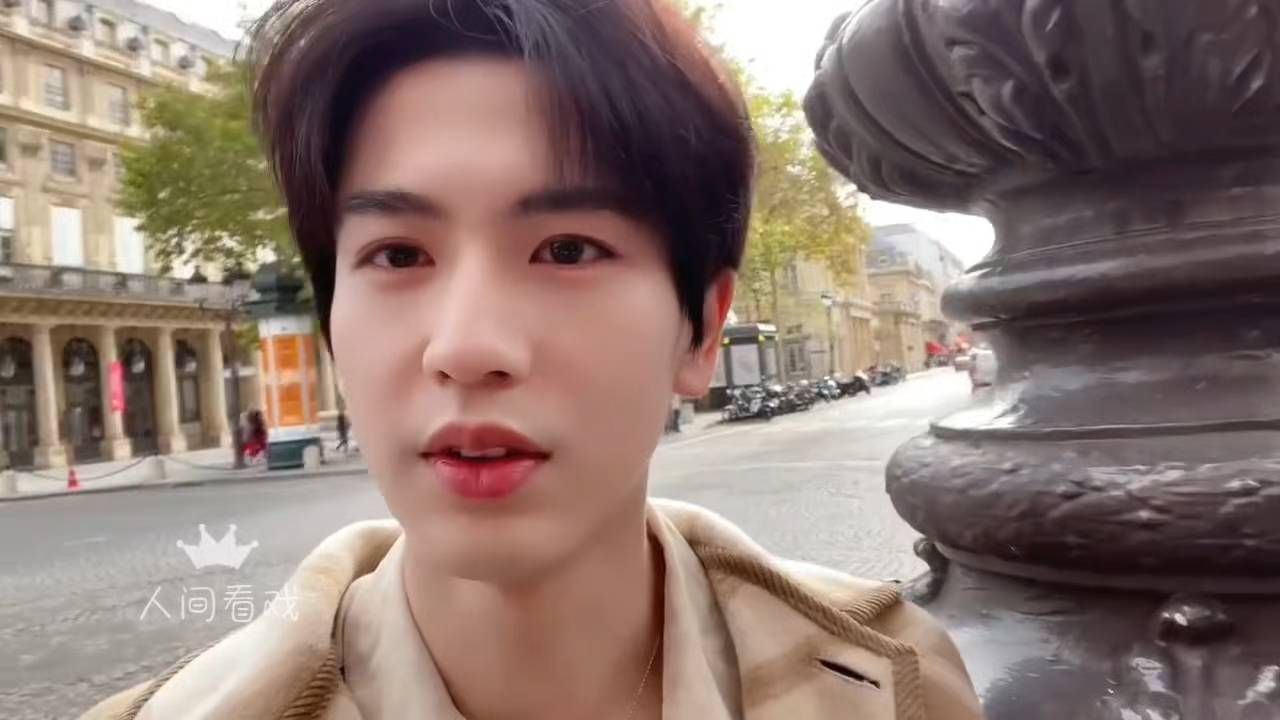 张凌赫巴黎vlog存档！感慨今昔差别：从前轻松漫步，如今出行被围观、保镖随行