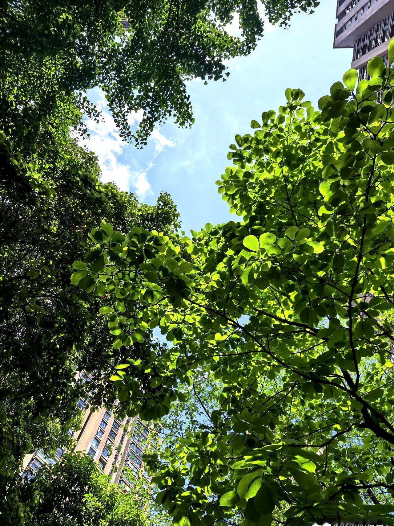 你家里有80多岁还非要骑三轮车到处溜达的老人吗？
早上六点手机响，我心里咯噔一下