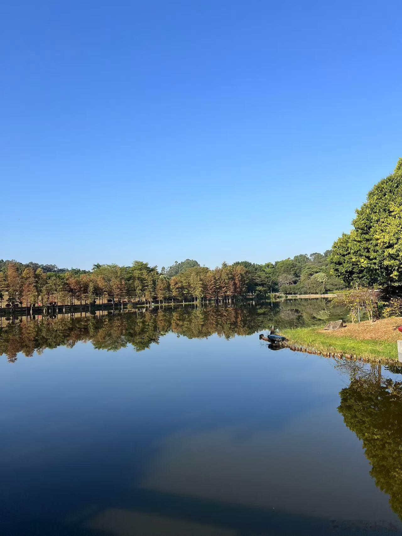 赛前小跑40分钟下周来个60分钟 