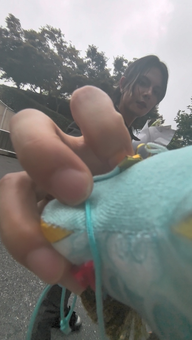 此乃何物。 